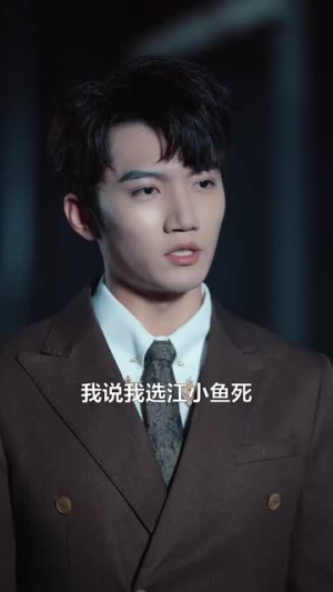 双生风云（92集）热门了短剧