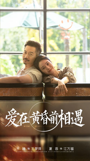 爱在黄昏前相遇（65集）爆款短剧一起追