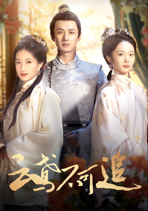 云鸢不可追（42集）爱上了这部剧了