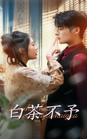 白茶不予（68集）免费看