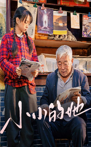 小小的她（60集）精彩短剧追不停