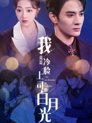 我竟是冷脸上司的白月光（80集）热播短剧免费看