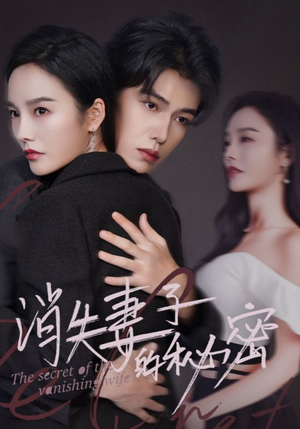 消失妻子的秘密（60）网上可以看吗