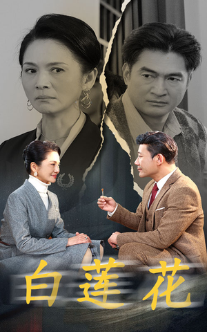 白莲花（40集）真的太好看了