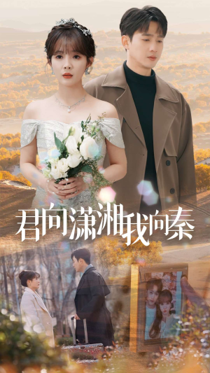 君向潇湘我向秦（30集）在哪里看