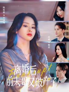 离婚后前夫哥又破产了（25集）短剧小说在线看