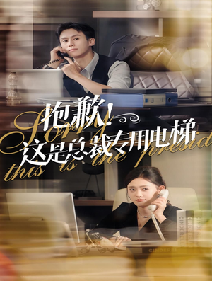 抱歉！这是总裁专用电梯（60集）热门短剧推荐