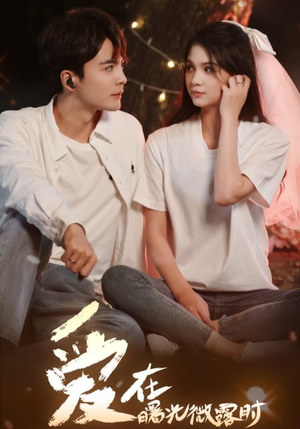 爱在曙光微露时（49集）第三季