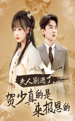 夫人别逃了贺少真的是来报恩的（63集）好看短剧又来了