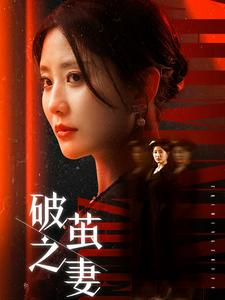 婚姻的救赎（46集）第二季