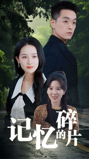 记忆的碎片（50集）大结局一气呵成