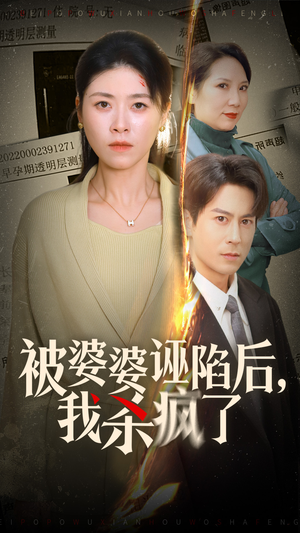 被婆婆诬陷后我杀疯了（30集）热门短剧看不停