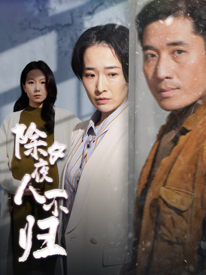 除夕夜人不归（47集）全集一网打尽