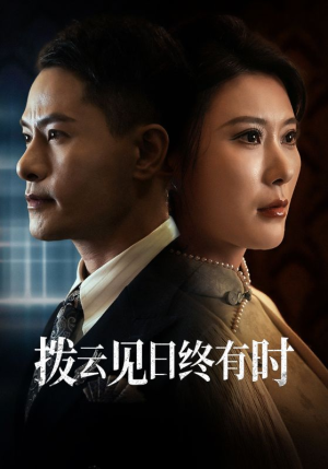 拨云见日终有时（30集）热门短剧免费看