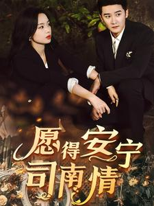 愿得安宁司南情（76集）海量短剧免费看