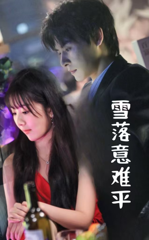 雪落意难平（35集）短剧全集完整