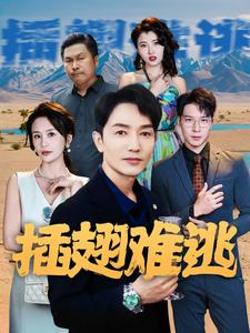 插翅难逃（43集）真的好看吗