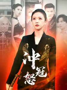 冲冠怒（93集）在线观看全集