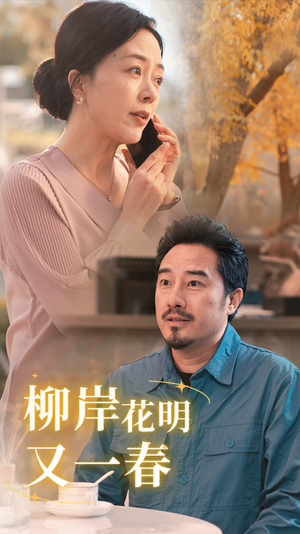 柳暗花明又一春（40集）热门短剧推广