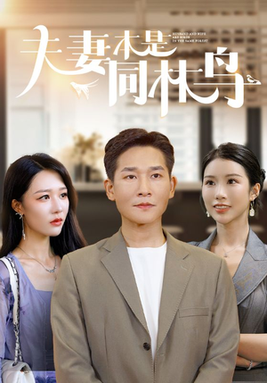 夫妻本是同林鸟（76集）我真的爱了