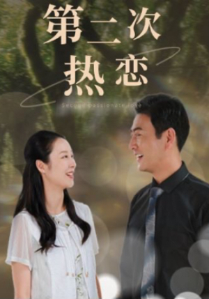 第二次热恋(48集) 第二次热恋(48集)第32集