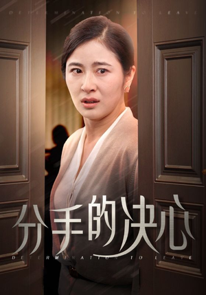 分手的决心（39集）好看的短剧推荐