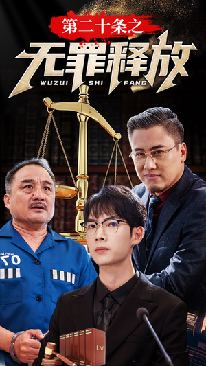 第二十条之无罪释放（76集）红果免费短剧