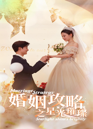 婚姻攻略之星光璀璨（32集）夸克网盘观看