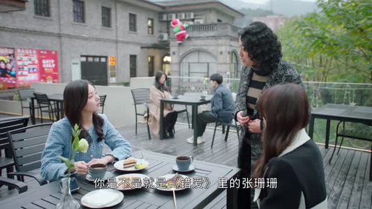 婚姻攻略（16集）精彩短剧随心推