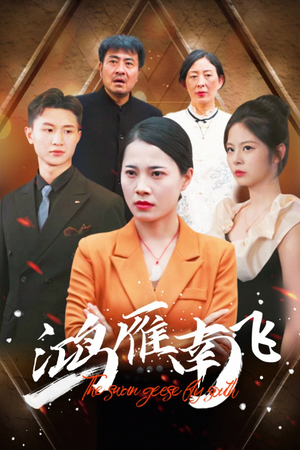 鸿雁南飞（64集）每日分享短剧