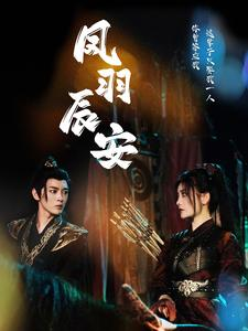 凤羽辰安（100集）在线免费观影