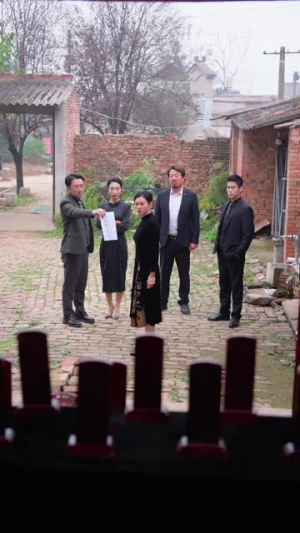 离婚后，被三个儿媳宠上天（30集）迅雷网盘观看