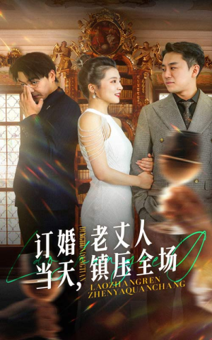 订婚当天，老丈人镇压全场（29集）每日短剧追不停