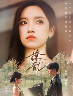 撩乱（65集）全集我都看完了