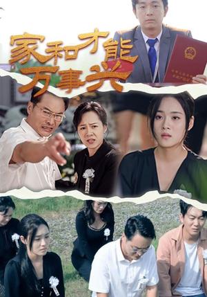 家和才能万事兴（30集）全集免费