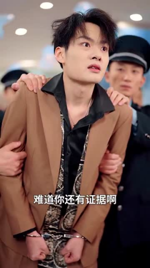 老婆我是冤枉的(31集) 老婆我是冤枉的(31集)正能量短剧分享