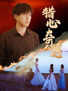 猎心奇遇（91集）评价怎么样