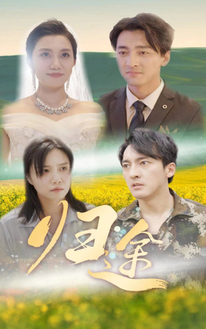 归途（52集）短剧全集免费