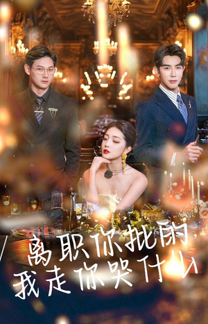 离职你批的，我走你哭什么（30集）精彩短剧后续