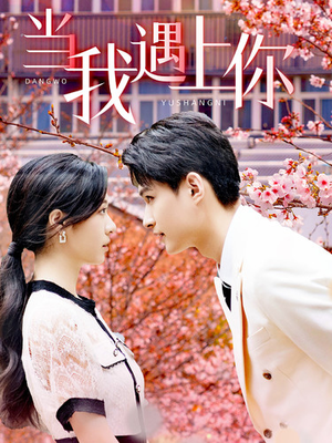 当我遇上你（100集）短剧热播推荐
