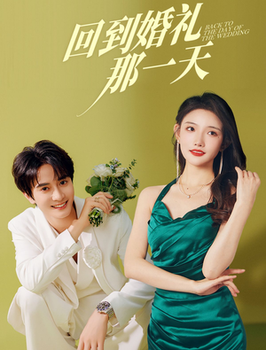回到婚礼那一天（88集）一口气看完全集