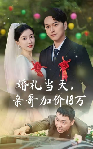 婚礼当天，亲哥加价18万（36集）一口气看完