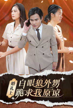 婚礼上白眼狼外甥跪求我原谅（35集）短剧全集免费