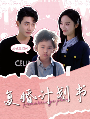 复婚计划书（96集）短剧更新抢先看