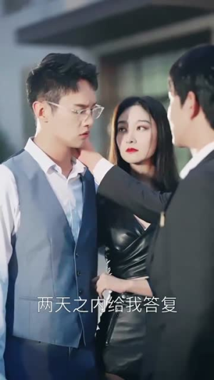 忽如一夜春风来（28集）免费观看