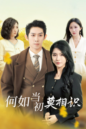 何如当初莫相识（36集）真的太精彩了