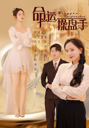 命运操盘手（40集）评价怎么样