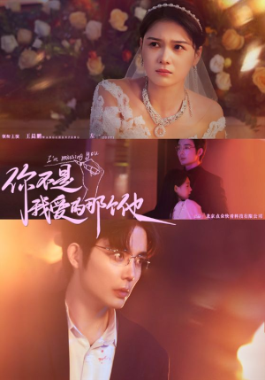 你不是我爱的那个他（54集）精彩短剧免费看