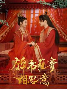 锦书难寄相思意（97集）最火的短剧