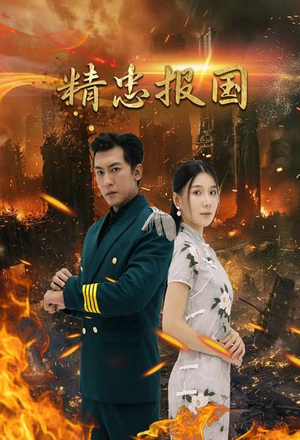 精忠报国（61集）热门短剧推荐。